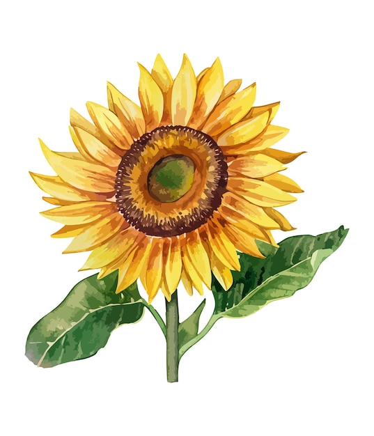 Aquarela buquê floral vintage tela floral aquarela