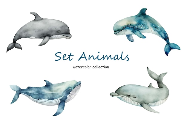 Aquarela conjunto de animais marinhos isolados em um fundo branco.