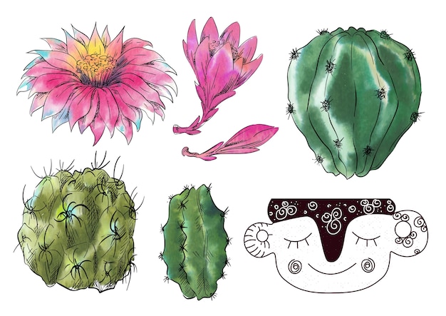 Aquarela conjunto de cactos