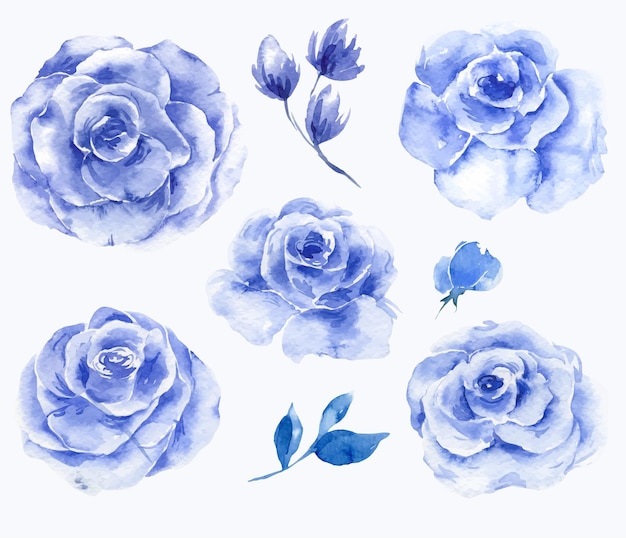 Aquarela Conjunto de Flor Rosa Azul