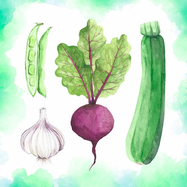 Aquarela conjunto de vegetais saudáveis