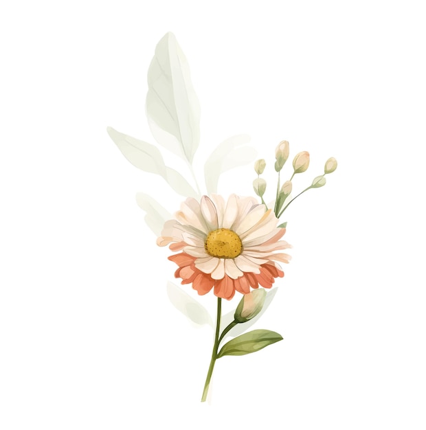 Aquarela daisy vector flowers vintage pequeno buquê de flores brancas para vendas de casamento do dia dos namorados e outros eventos pintados em estilo aquarela