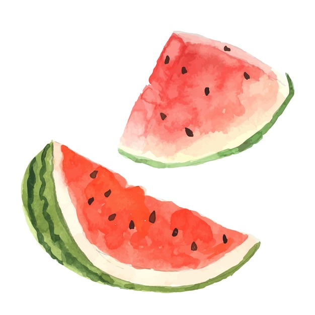 Aquarela de fatia de fruta melancia