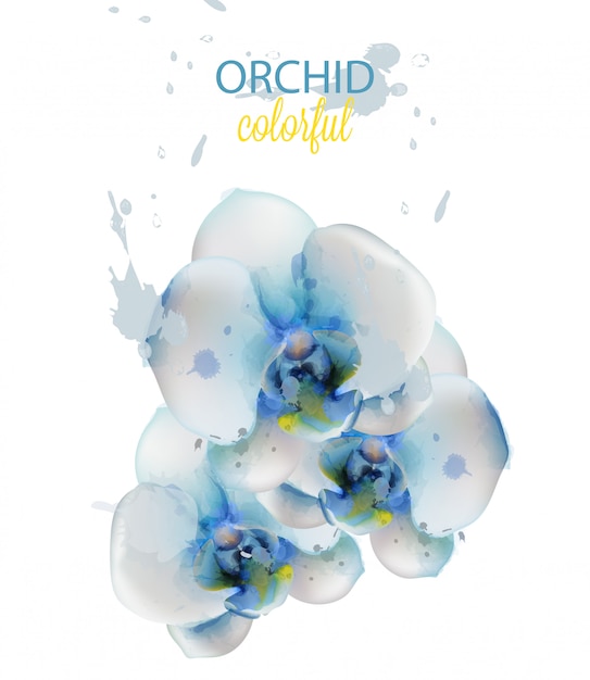 Aquarela de flores de orquídea azul