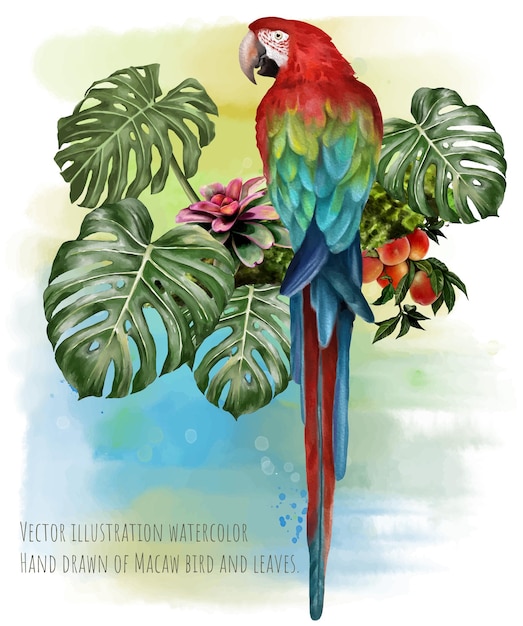 Aquarela de ilustração vetorial de pássaro Arara e folhas tropicais