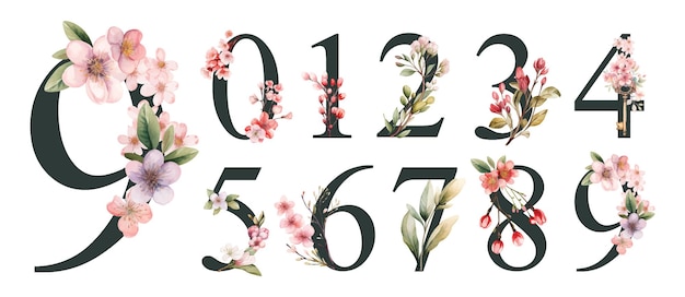 Vetor aquarela de números florais com flores silvestres de 0 a 9 ilustração do dia dos namorados