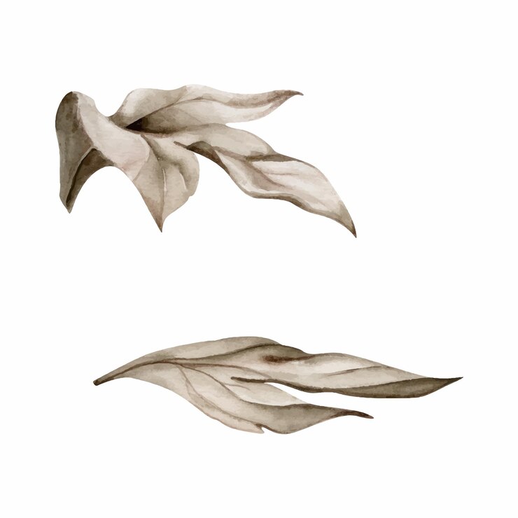 Vetor aquarela desenhada à mão grisaille monocromática flor arbusto folhas árvore caules ramos elemento único