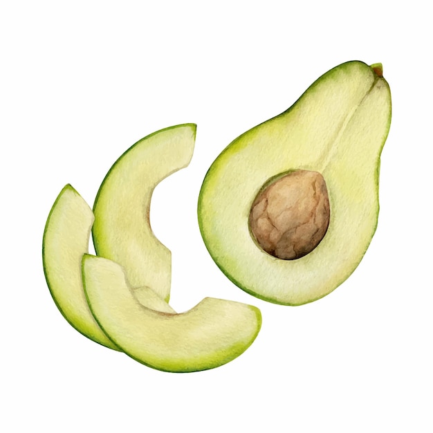 Aquarela desenhada à mão nozes vegetais de abacate para dieta e estilo de vida saudável salada culinária vegana composição de ilustração isolada em fundo branco design de cartaz impressão de site menu de cartão