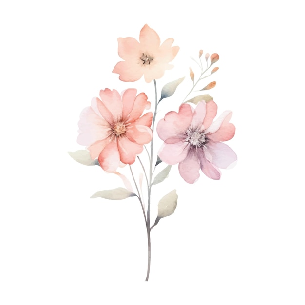 Vetor aquarela flor planta ilustração