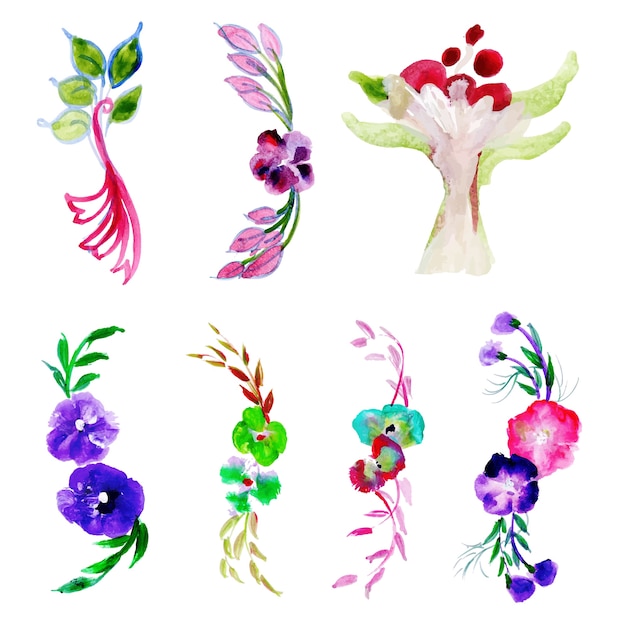 Aquarela Floral e deixa a coleção de elementos