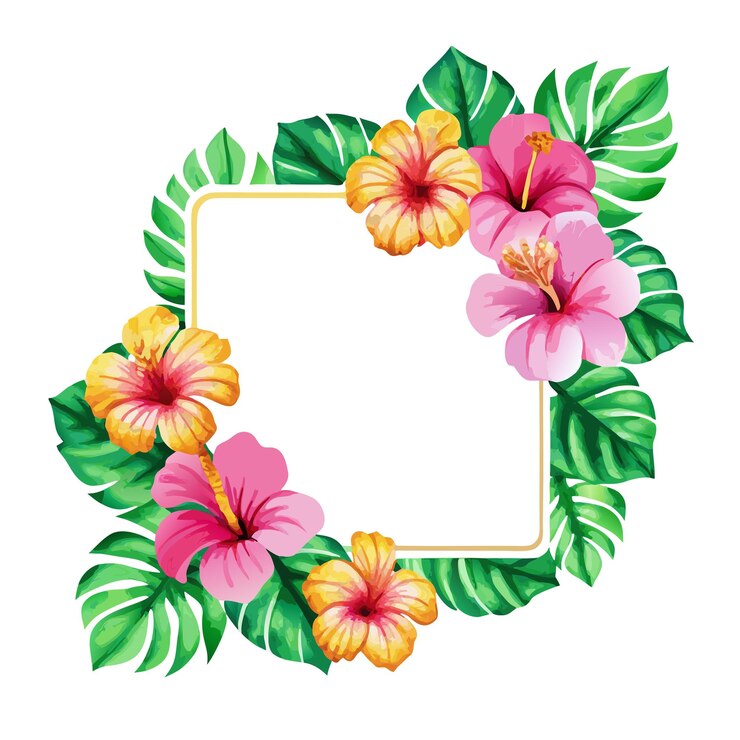 Vetor aquarela flores de hibisco e folhas tropicais ilustração vetorial de quadro elegante 1