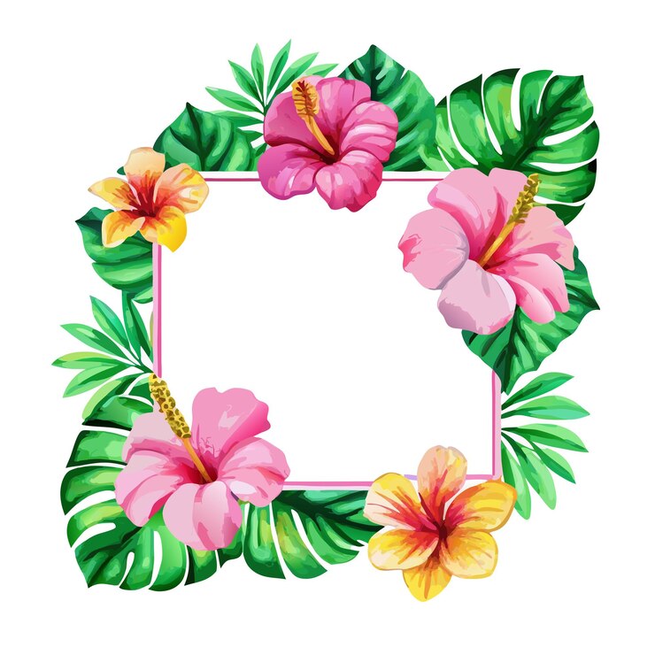 Vetor aquarela flores de hibisco e folhas tropicais ilustração vetorial de quadro elegante 2