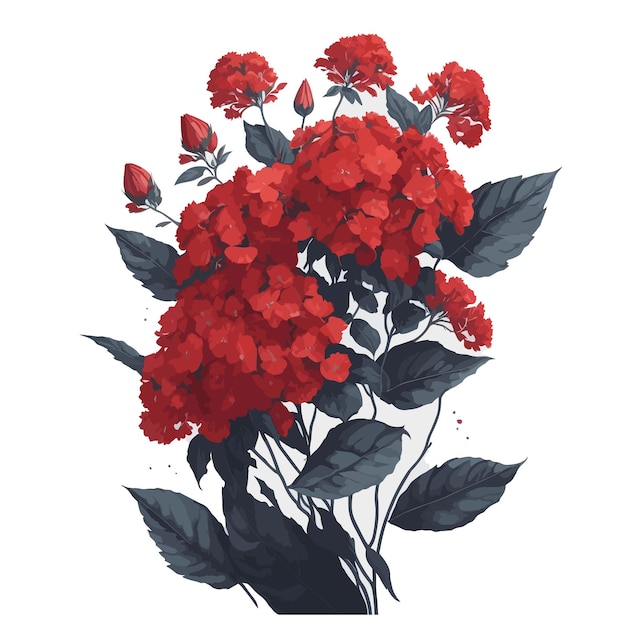 Aquarela luz de fogo hortênsia vermelho vetor clipart floral