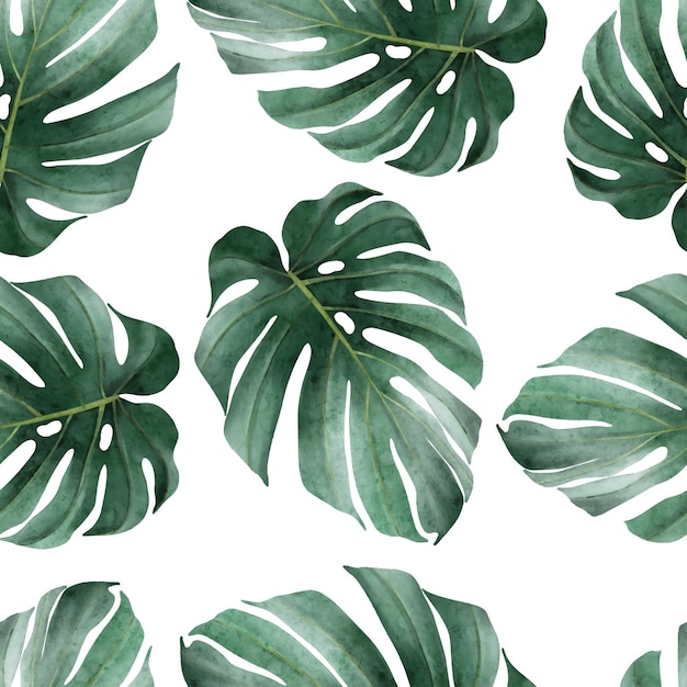 Aquarela Monstera folha de palmeira sem costura de fundo