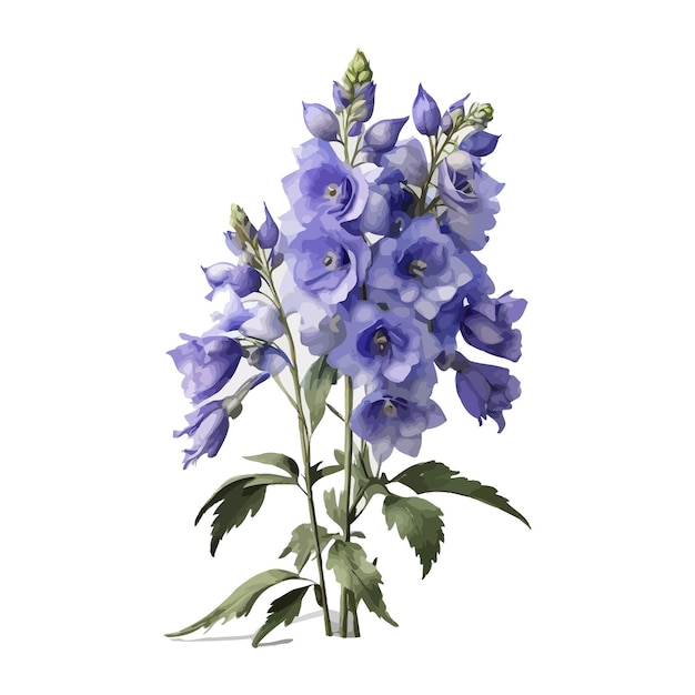 Vetor aquarela noite de verão delphinium clipart fundo branco editável