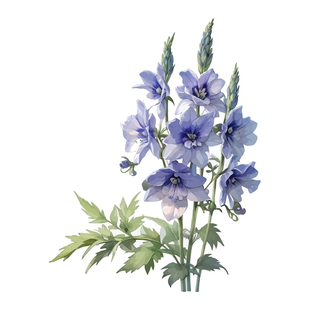 Vetor aquarela novo milênio delphinium clipart fundo branco editável