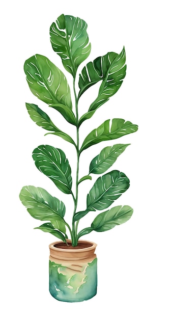 Vetor aquarela plantas de casa clipart