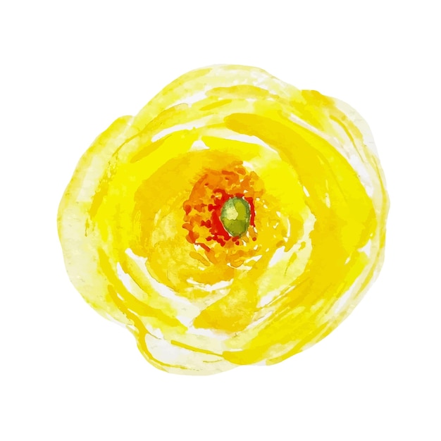 Aquarela ranúnculo flor amarela clipart mão desenhada para adesivos e decoração