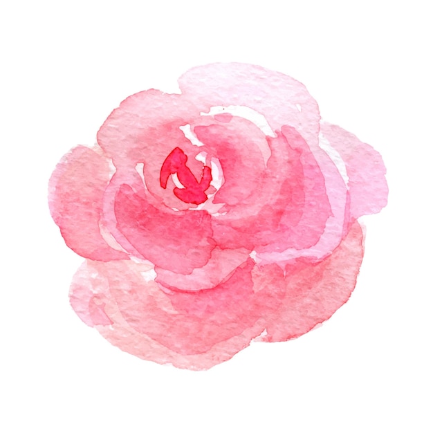 Aquarela rosa ilustração desenhada à mão