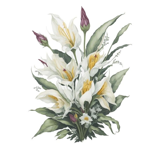 Aquarela stanhopea clipart vetor floral