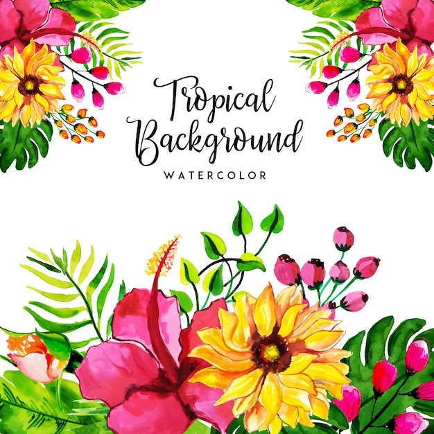 Vetor aquarela tropical floral e fundo de folhas