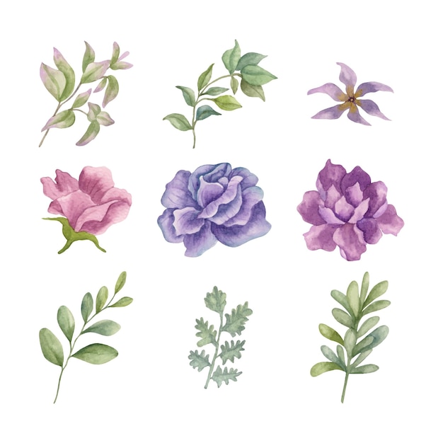 Aquarela várias flores coloridas e coleção de folhas