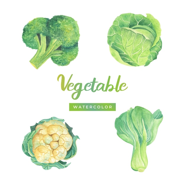 aquarela vegetal