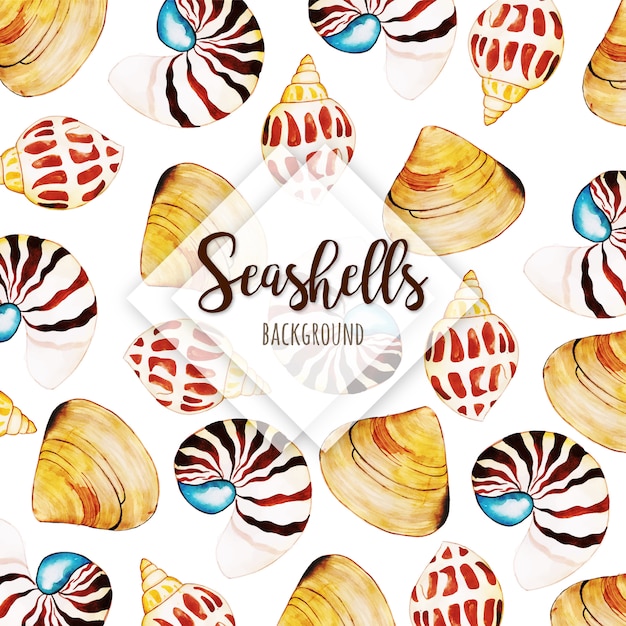 Aquarela verão seashells fundo multiuso