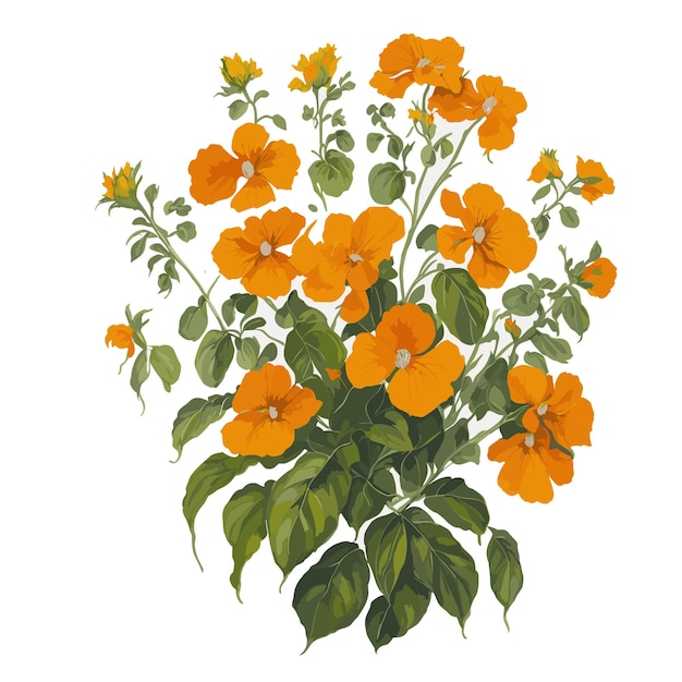 Aquarela vetor canário creeper nasturtium flor clipart fundo branco editável