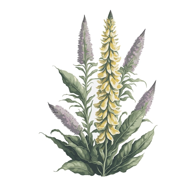 Vetor aquarela vetor foxglove flor clipart fundo branco editável