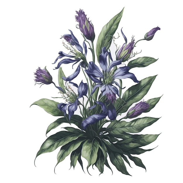 Vetor aquarela zygopetalum clipe floral bouquet vector