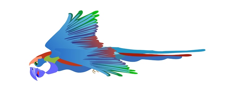 Vetor ara papagaio ilustração isolada