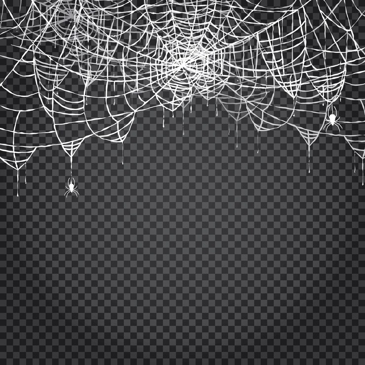 Vetor aranha e teia isoladas em fundo transparente. ilustração vetorial.