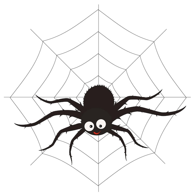 Aranha fofa na web