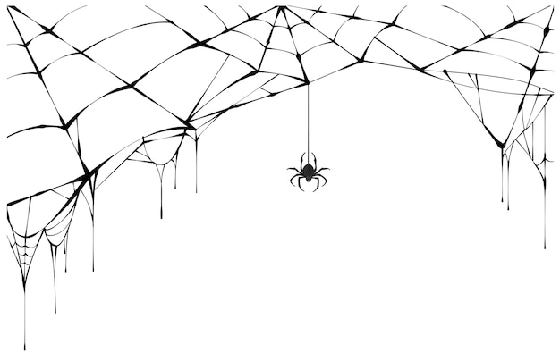 Vetor aranha negra e teia rasgada. teia de aranha assustadora do símbolo do halloween.