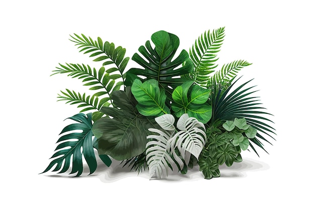 Arbusto de planta de folhagem tropical folhas de palmeira monstera desenho de ilustração vetorial