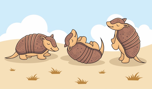 Armadillo cartoon wild nature