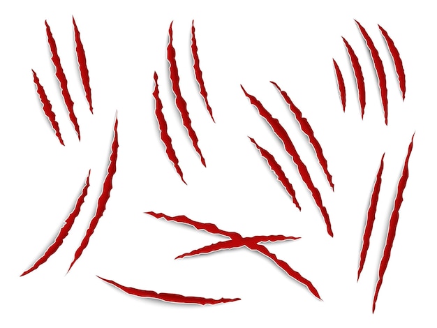 Arranhões garras Rastros de garra animal gato ou tigre urso ou ataque de leão unhas arranhões com sangue Thriller horror halloween monstros sinais Vetor realista isolado no conjunto branco