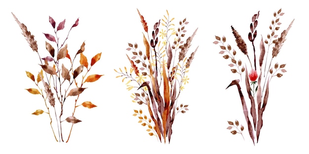 Arranjo de outono em aquarela de seu herbário de grama seca de folhas