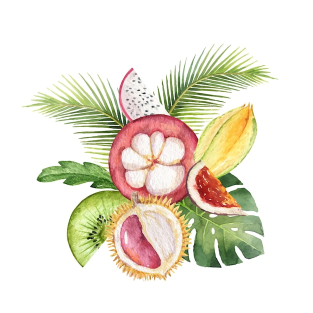 Arranjo pintado à mão em aquarela de frutas exóticas