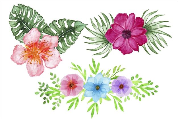 Vetor arranjos de flores ilustrações em aquarela buquês de flores multicoloridas folhas e flores