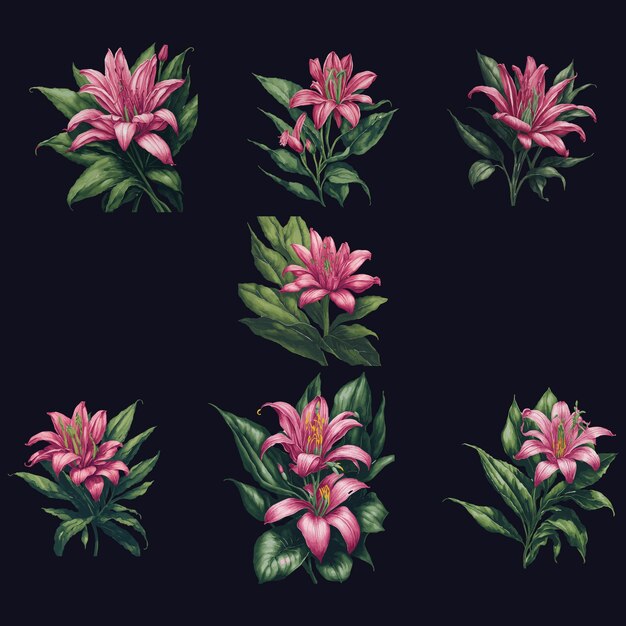 Vetor arte da flor de lírio rosa ilustração