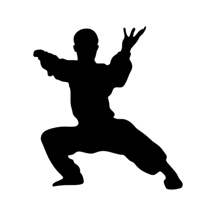 Vetor arte da silhueta de um homem demonstrando artes marciais wushu, exercícios de kung fu. ilustração em vetor. c