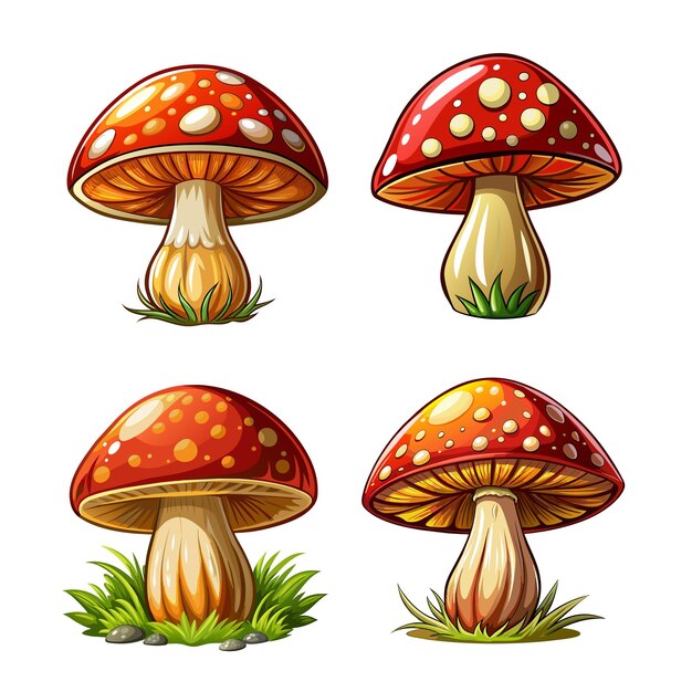 Vetor arte de cogumelos desenhada para decoração em fundo branco