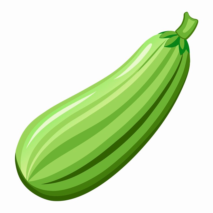 Vetor arte de ilustração de zucchini