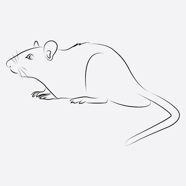 Arte de linha animal de rato