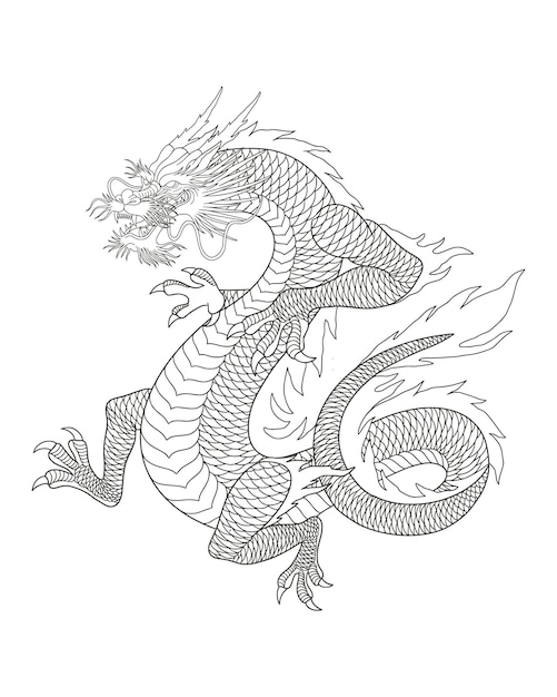 Arte de linha de dragão japonês isolado na ilustração vetorial de fundo branco