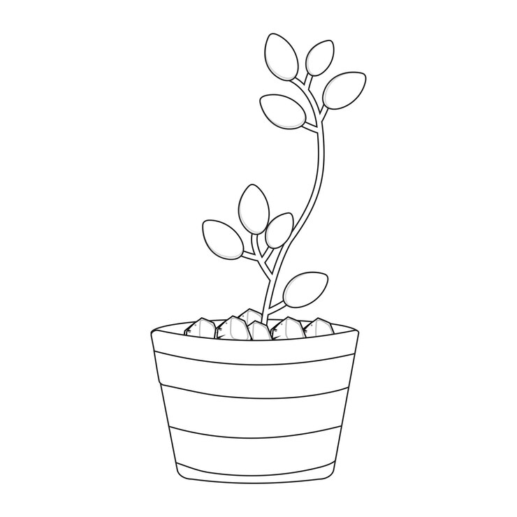 Vetor arte de linha de planta em vaso planta em vetor de contorno de vaso arte de linha moderna planta em vaso com formas abstratas