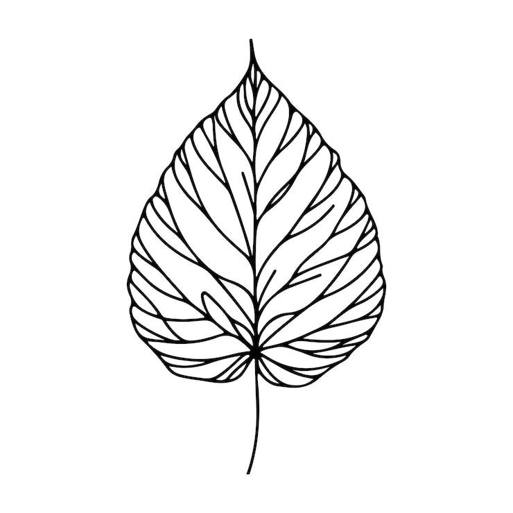 Vetor arte de linha decorativa estética ilustração de folha floral