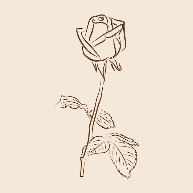 Arte de linha desenhada à mão moderna na moda com flor rosa